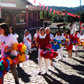festa-do-divino (12)